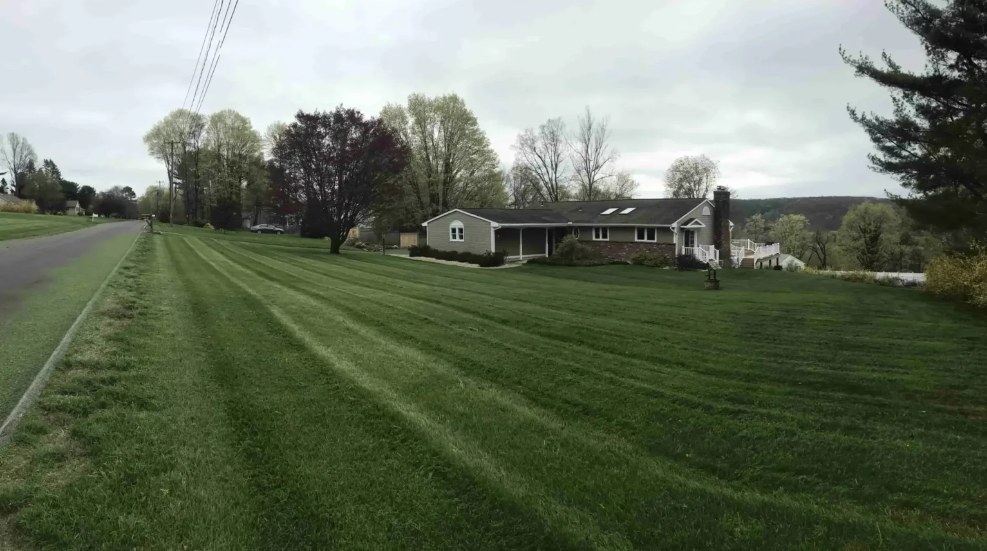 freshly cut yard after Weekly Lawn care & mowing Ridgefield, CT