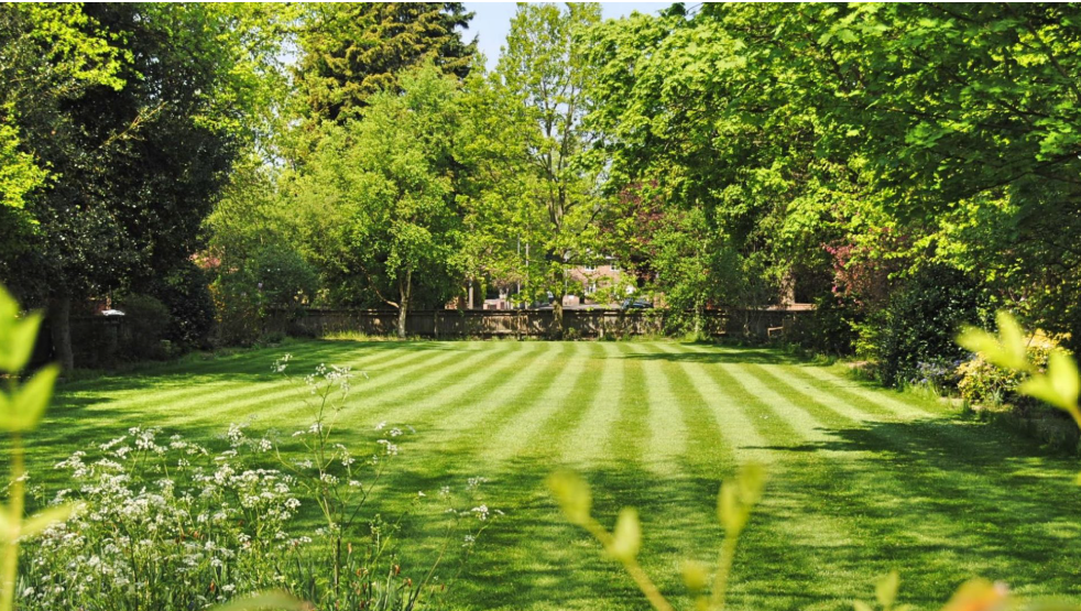 Well-Maintained Lawn