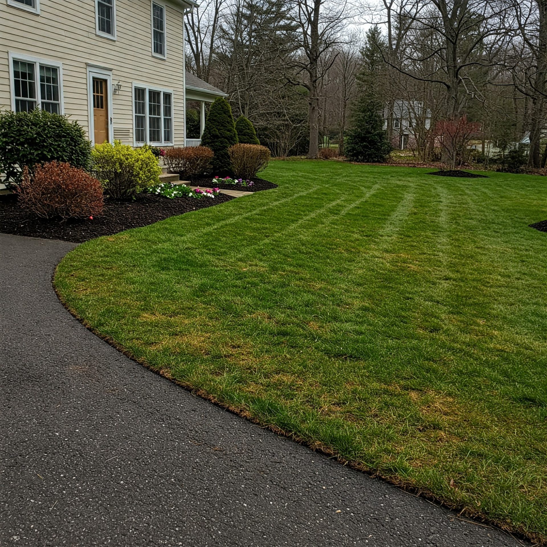 Well-maintained residential lawn with striped mowing pattern, fresh mulch beds, and neatly trimmed shrubs in Connecticut