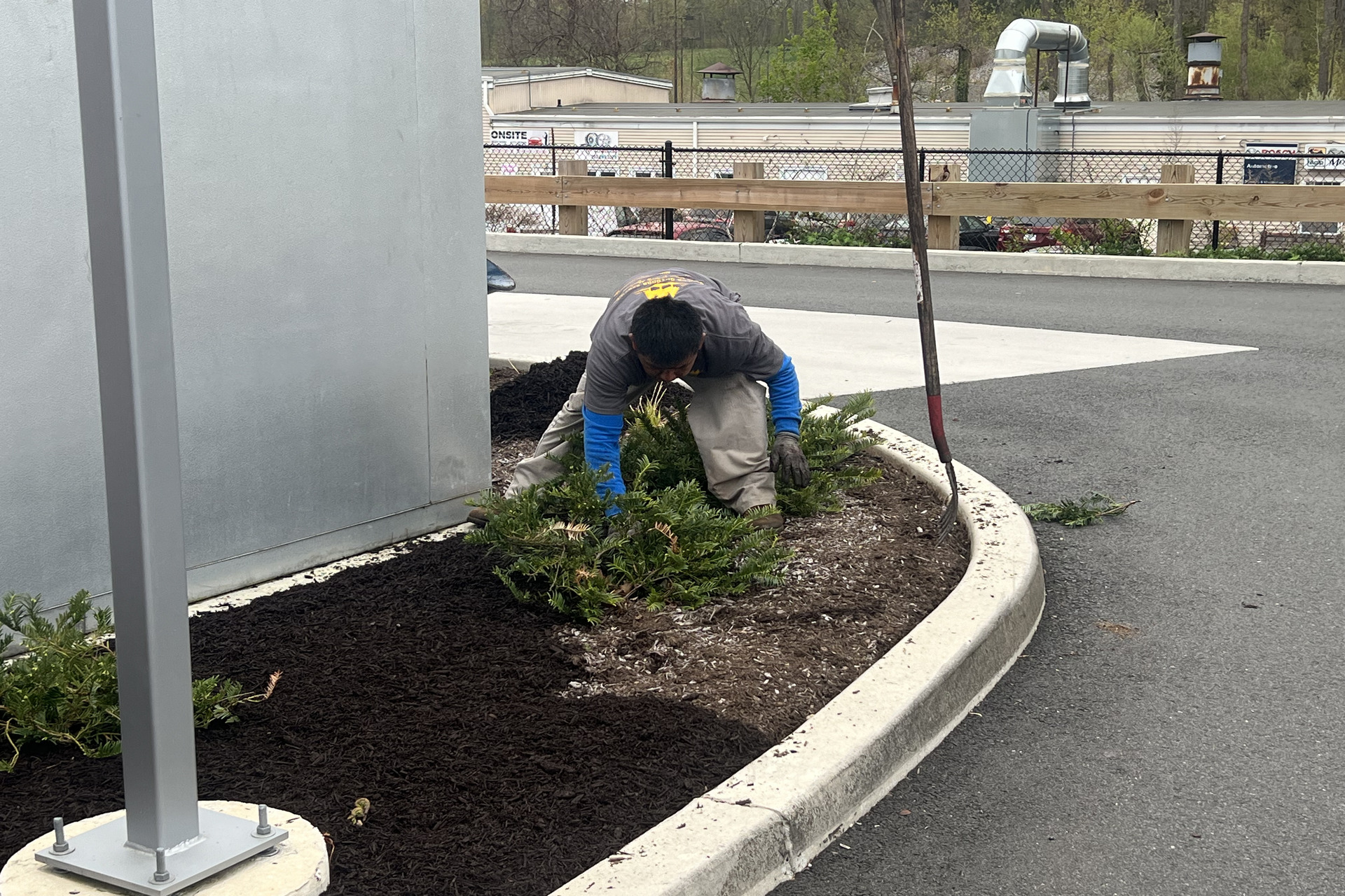 Landscape maintenance technician installing fresh mulch in a commercial planting bed along a curbside landscape