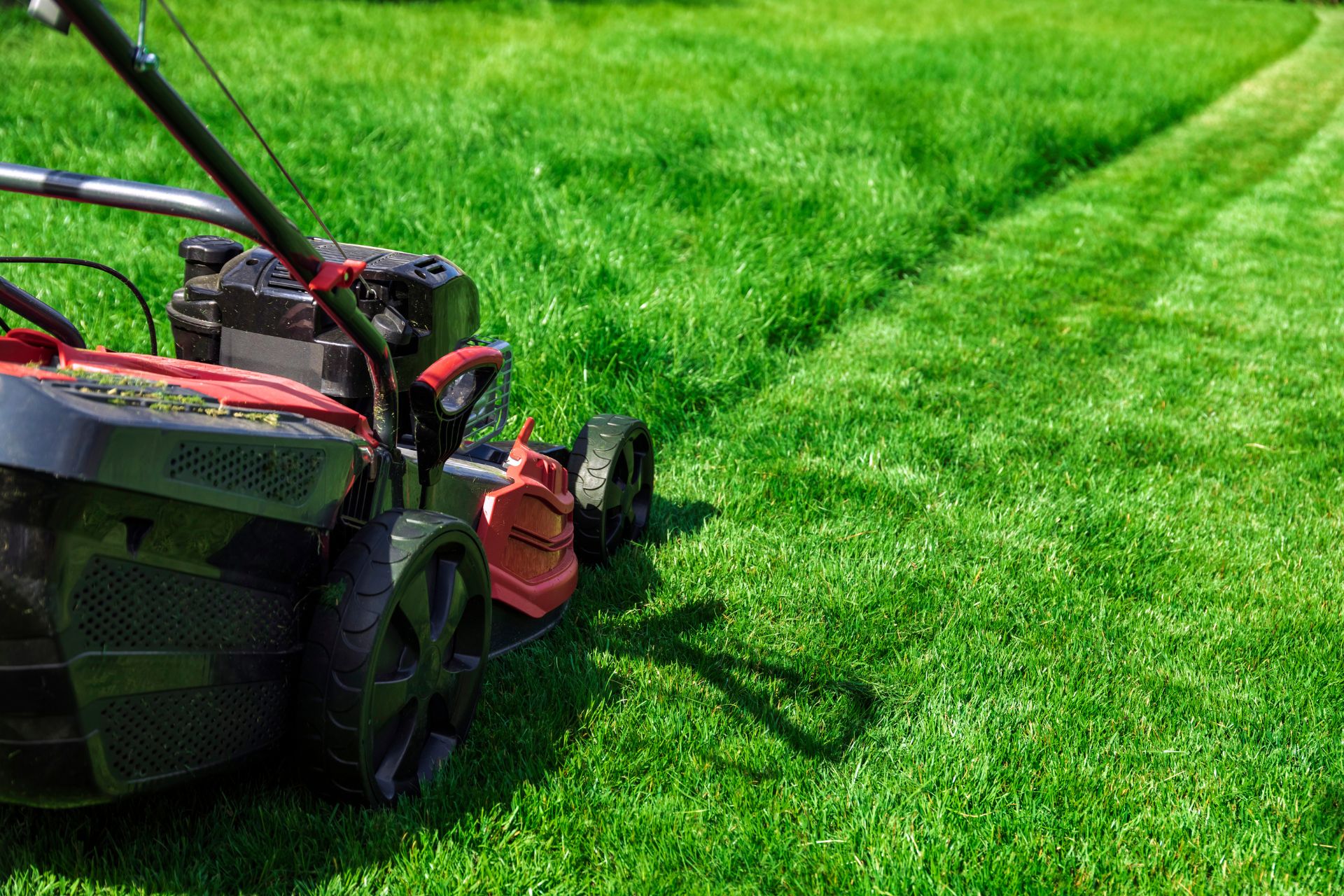 Professional lawn mowing service maintaining a healthy green lawn at a residential property in Brookfield, CT