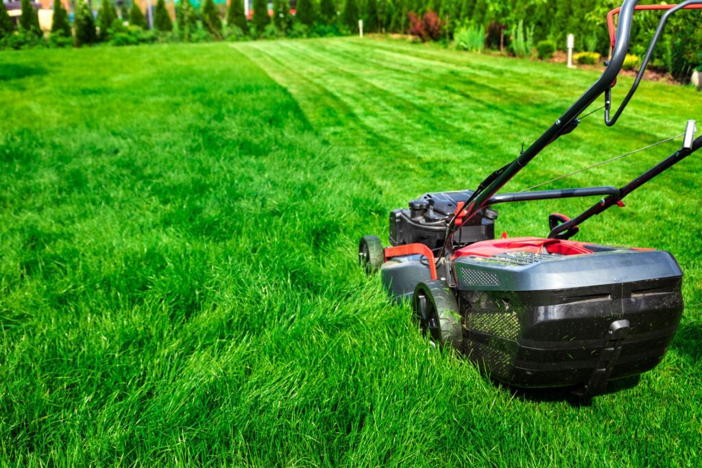 Professional lawn mowing service cutting overgrown grass at a residential property in Brookfield, CT