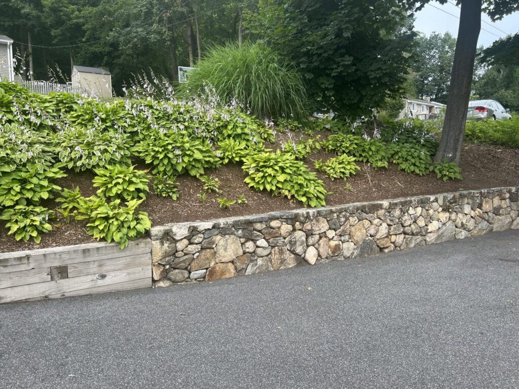 Layered landscape plantings with ornamental grasses, hostas, and natural stone edging at a Newtown, CT property