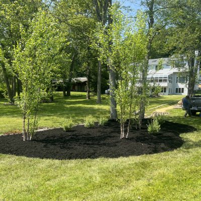 Completed Lawn Install Brookfield CT - Brothers Outdoor Services