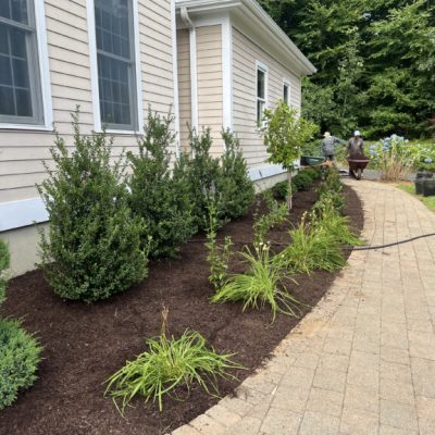 Our Landscaping Gallery