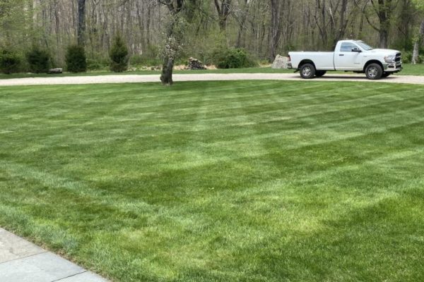 Residential lawn maintained with professional mowing and turf care services in Brookfield, CT.